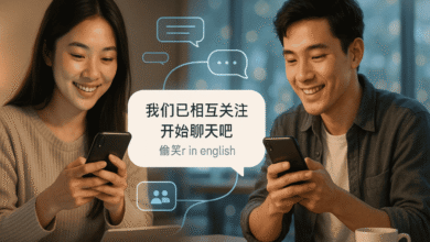 我们已相互关注 开始聊天吧 偷笑r in english